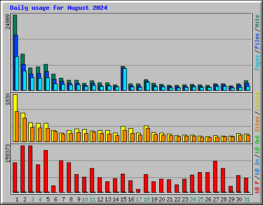 Daily usage for August 2024