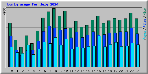 Hourly usage for July 2024