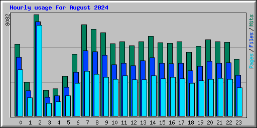 Hourly usage for August 2024