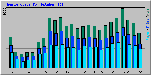 Hourly usage for October 2024