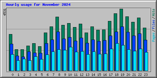 Hourly usage for November 2024