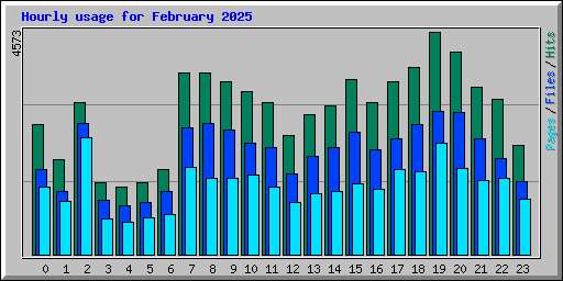 Hourly usage for February 2025