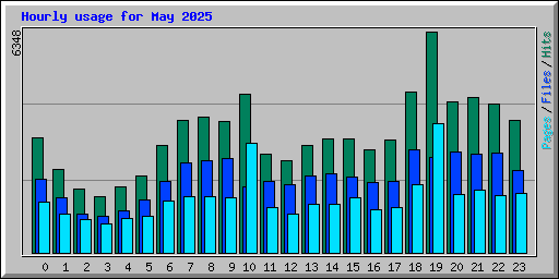 Hourly usage for May 2025