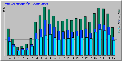 Hourly usage for June 2025